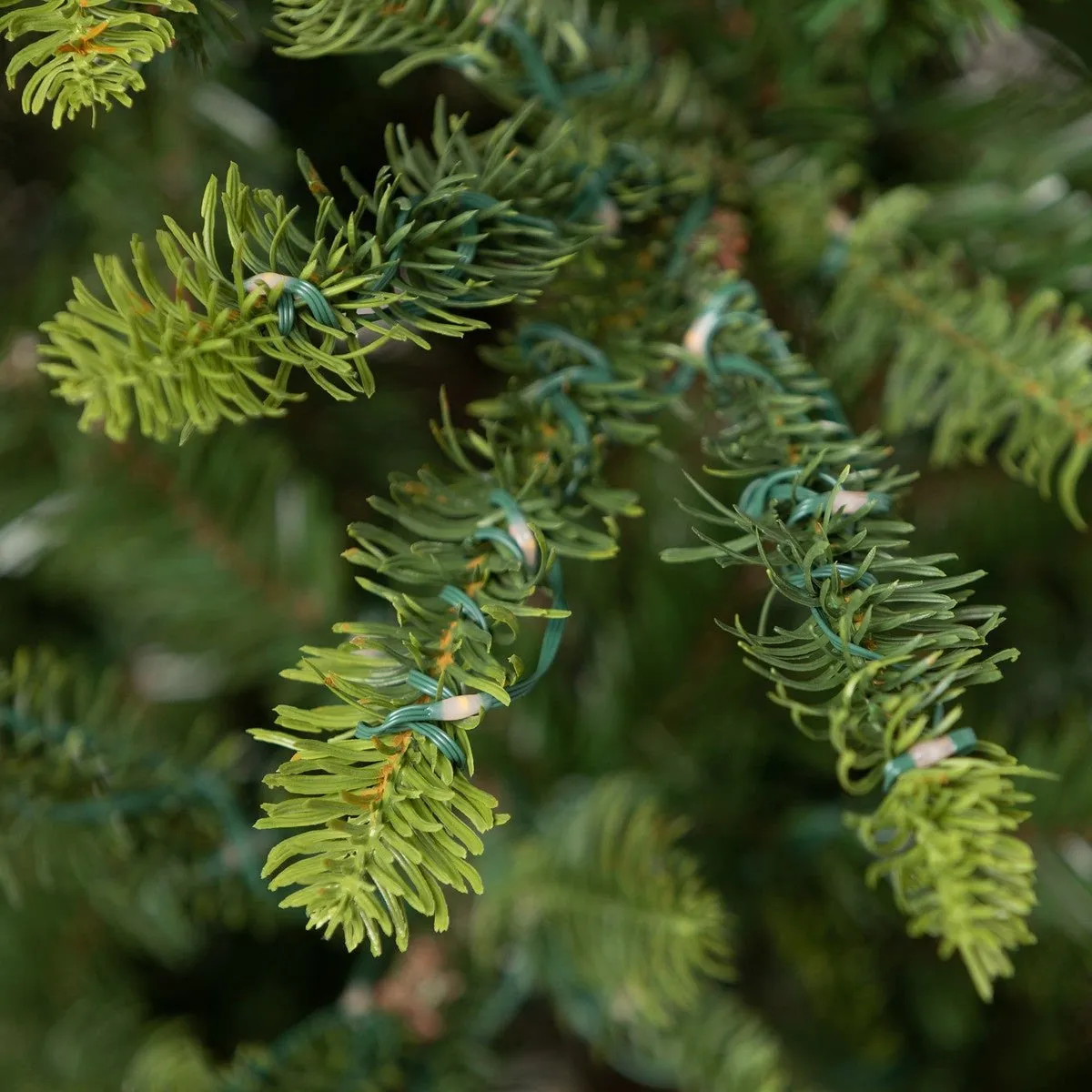 9' Great Northern Spruce Christmas Tree With Micro LED Lights