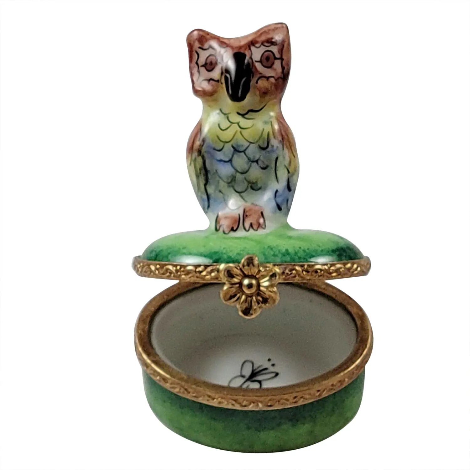 Mini Owl on Green